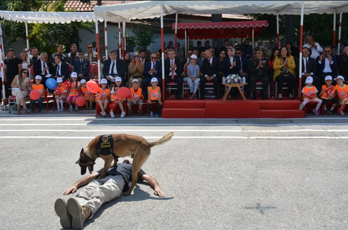 Ba65Cbc9 29A3 43Cc A4B4 5F924C58E682