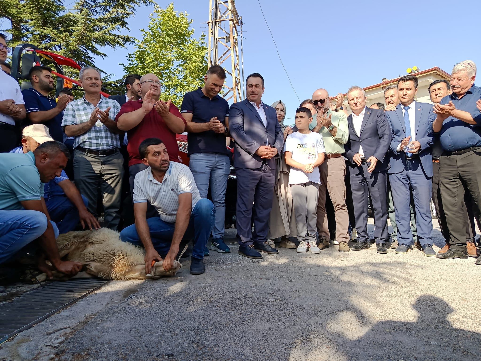 1929B2E2 8Eb3 408E A04C 5391B7728Ed4