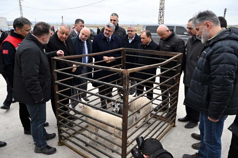 23Şubat2616 768X512