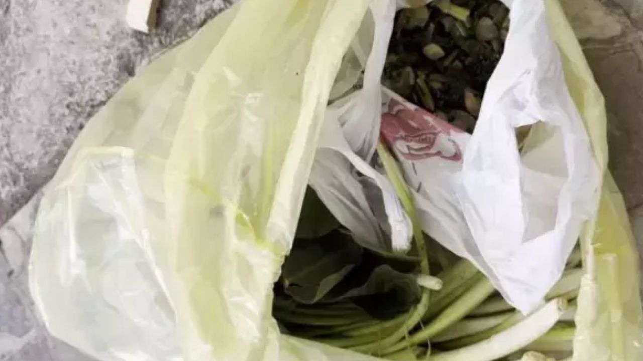 Adsız Tasarım 13-1