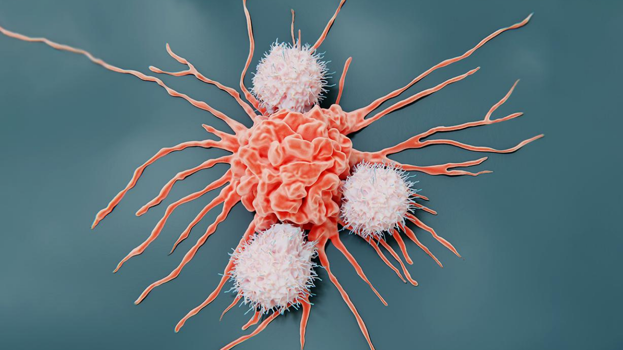 Afyon Son Dakika Haber (7)-1