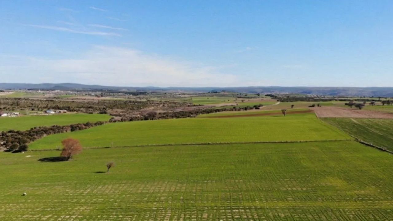 Afyon’da Iki Arsa Icradan Satışa Çıktı Bu Rakamı Ilk Getiren Alabilecek!-1