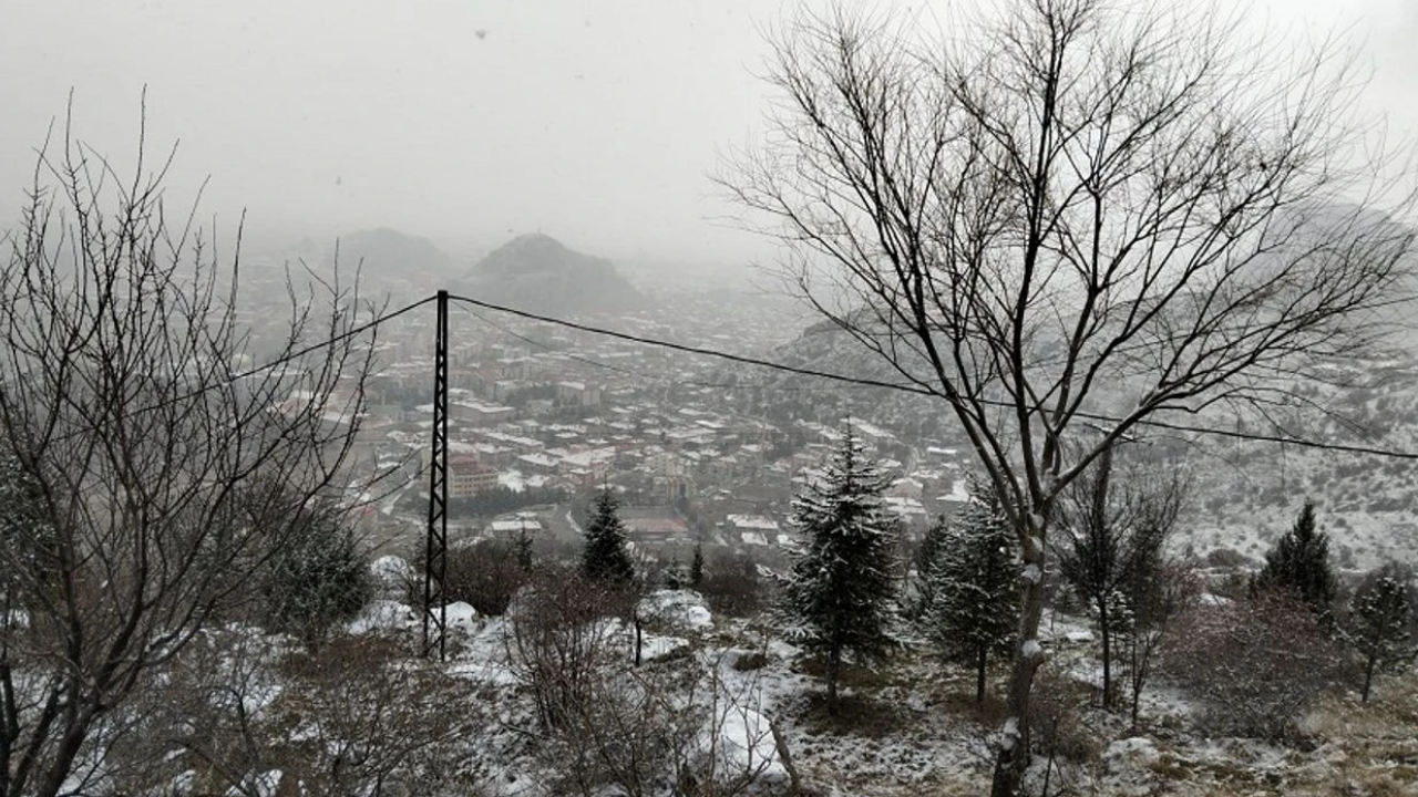 Fenerbahçe Haber (3)-1