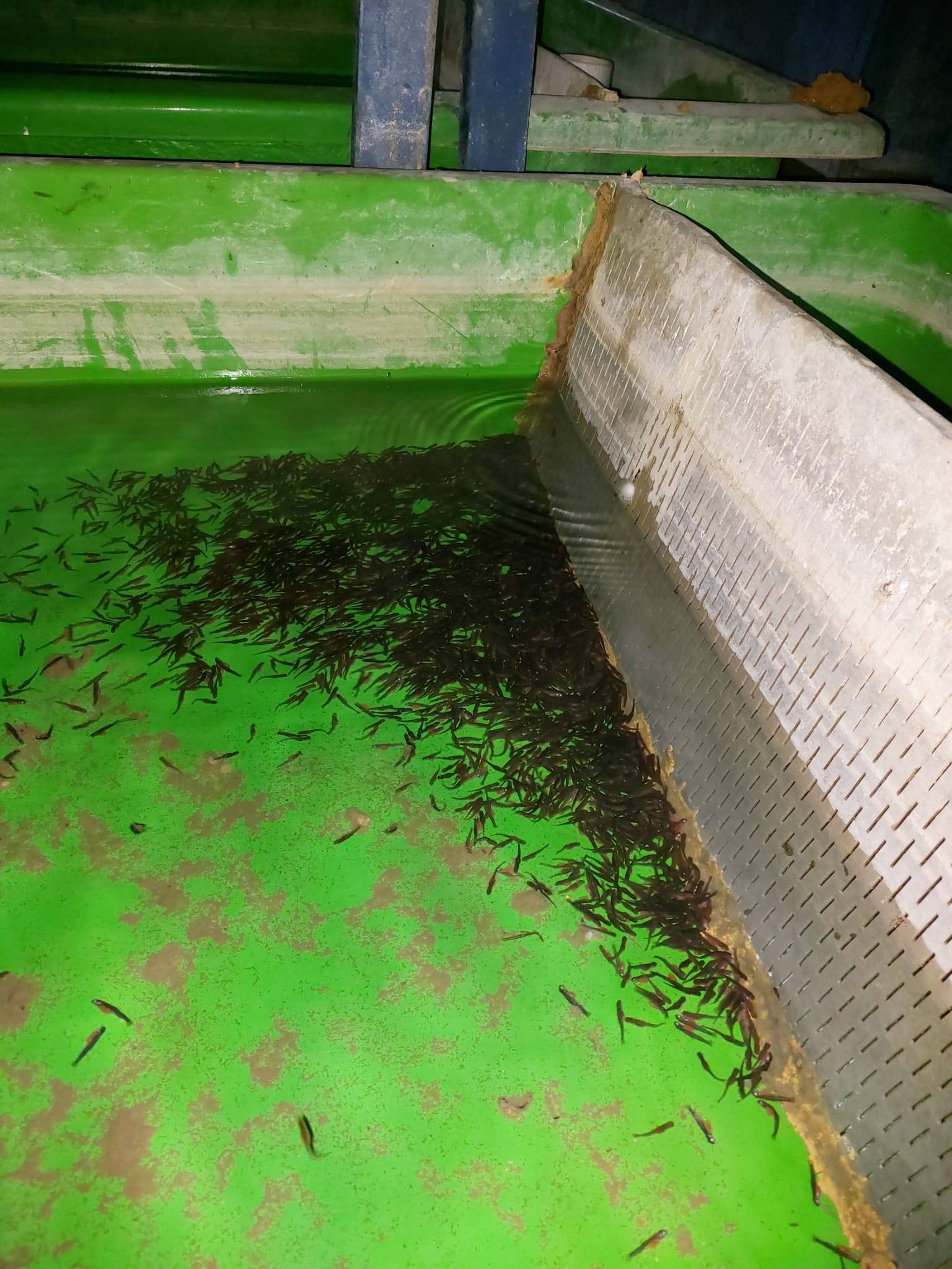 661428214 1387702713399448 2862948884552212768 N