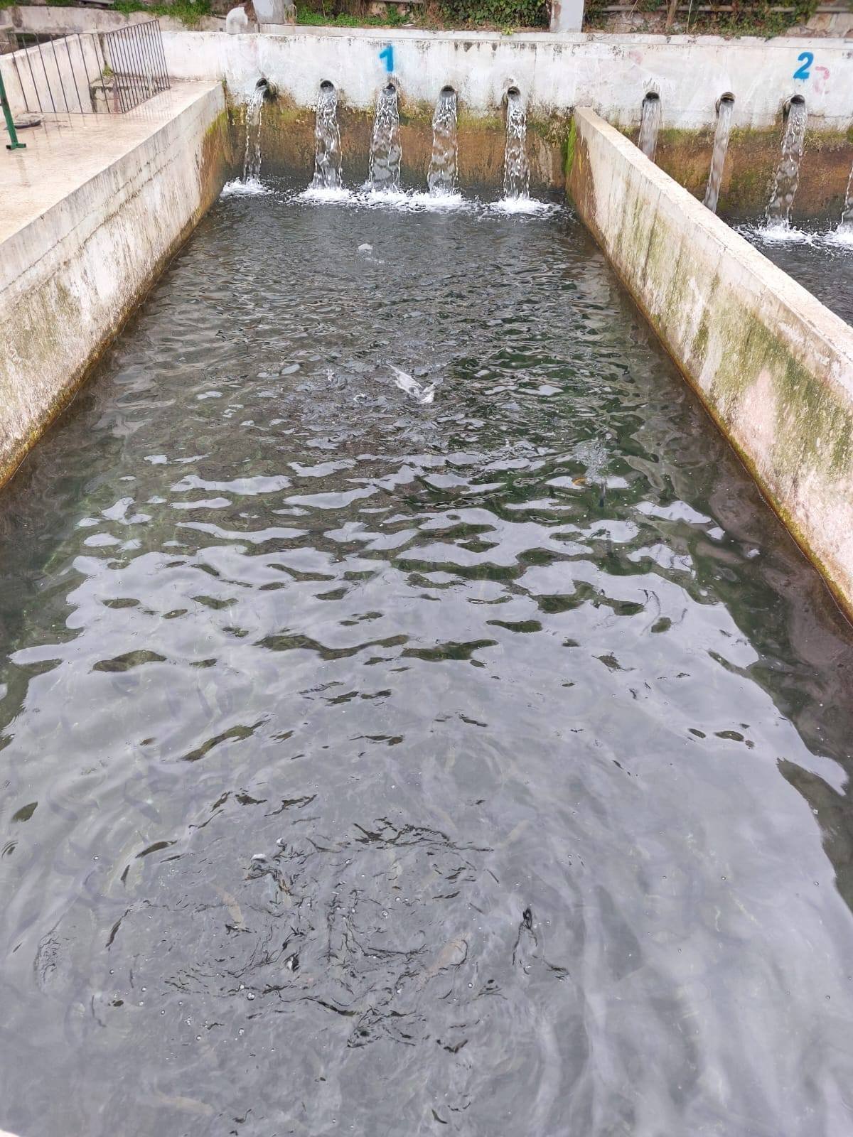 661641502 1387702506732802 886013201702048985 N