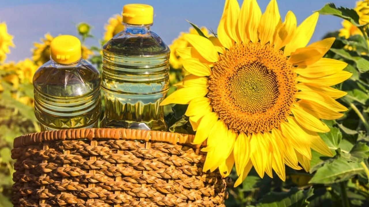 Adsız Tasarım 100-1