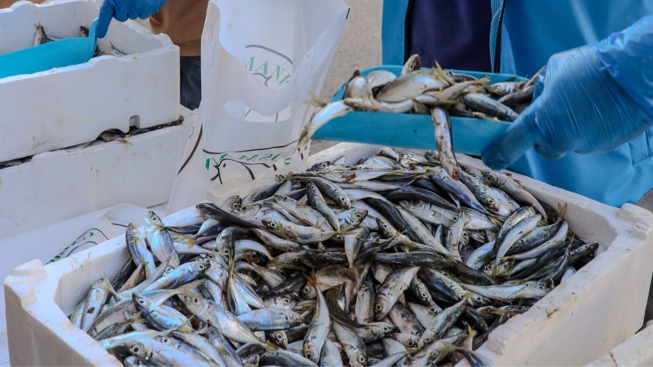 Adsız Tasarım 106-1