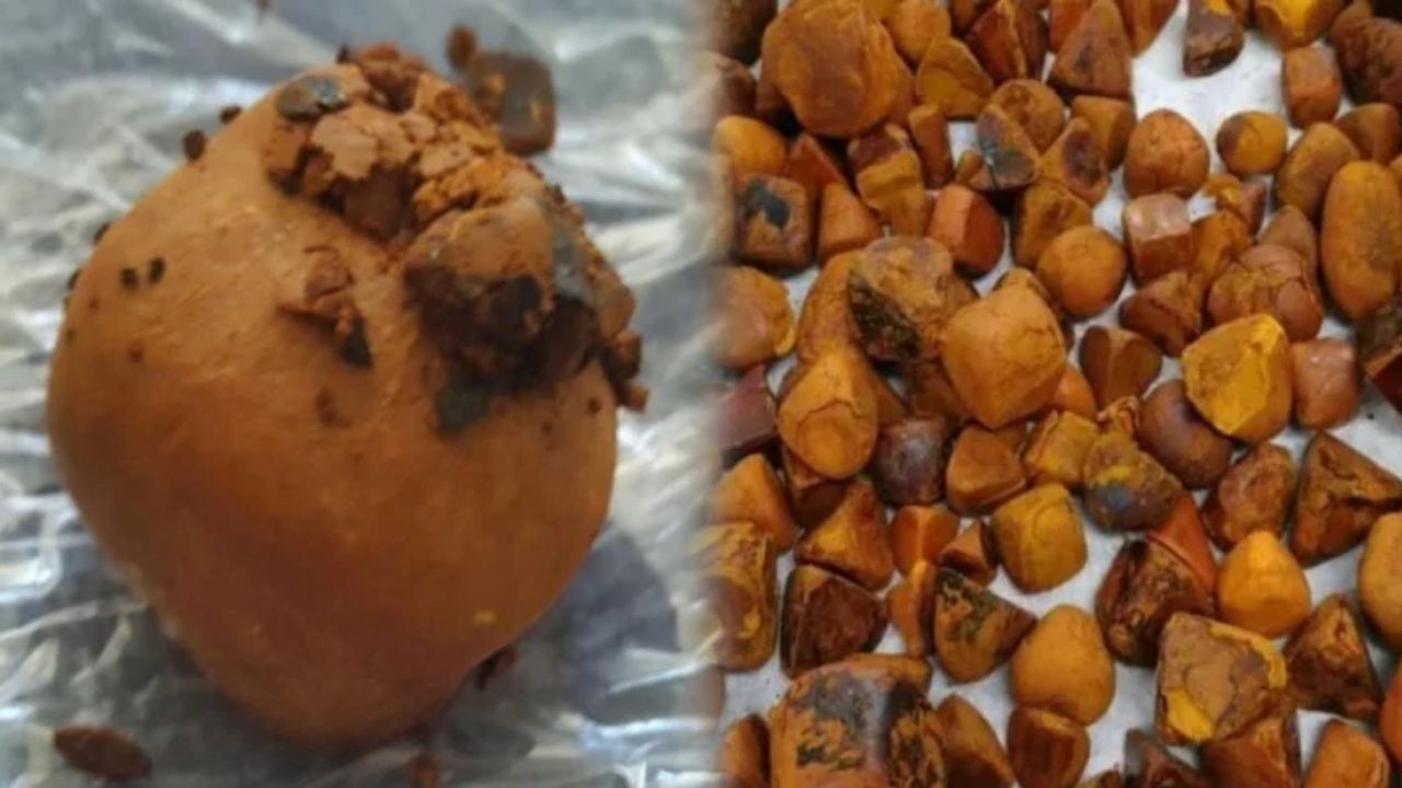 Adsız Tasarım 194-1