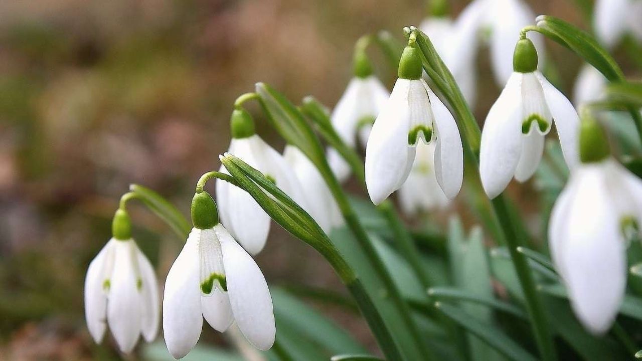 Adsız Tasarım 206-1