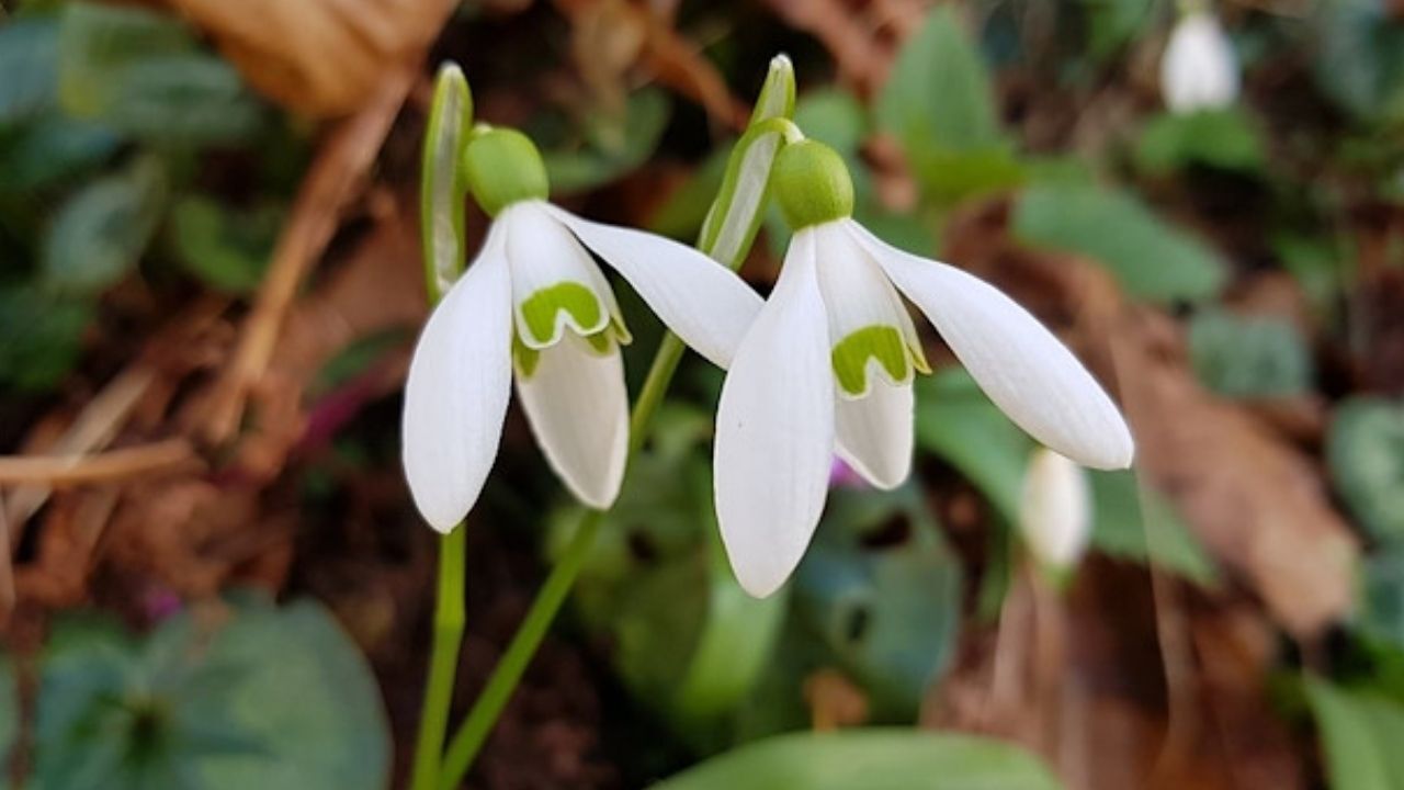 Adsız Tasarım 208-1