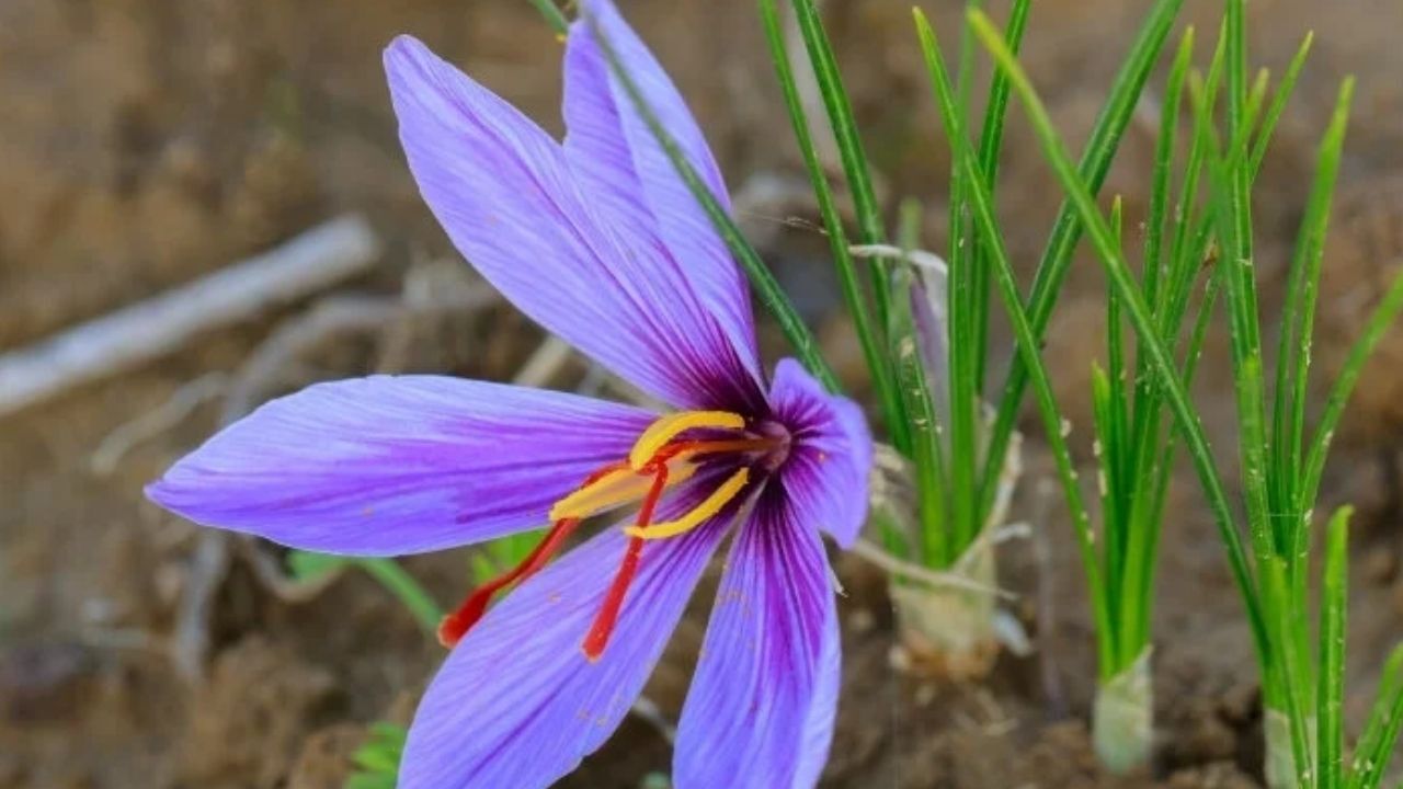 Adsız Tasarım 221-1