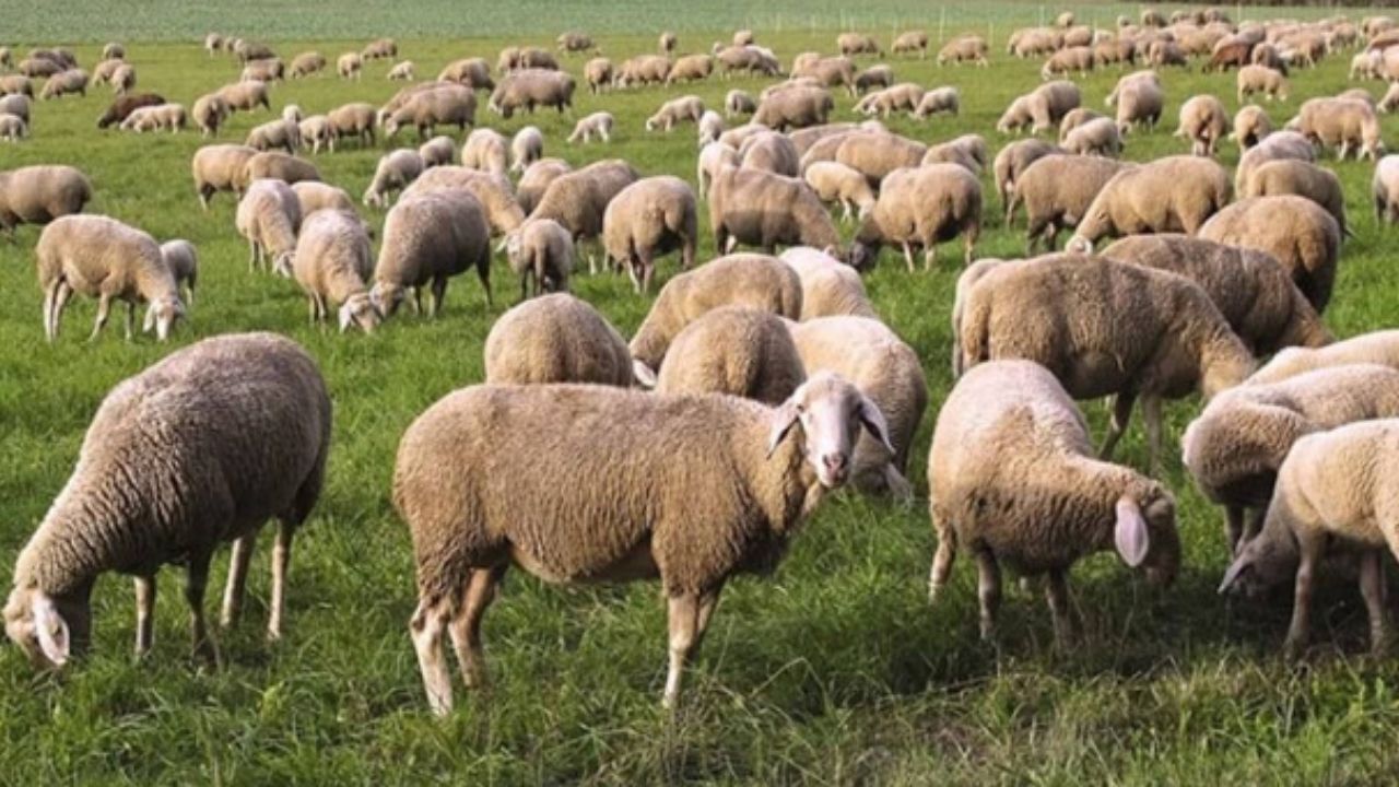 Adsız Tasarım 227-2