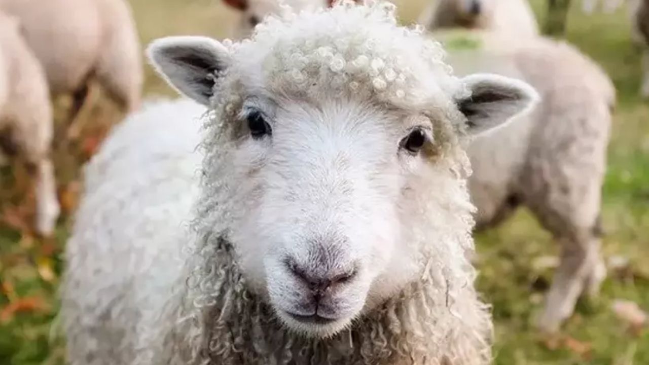 Adsız Tasarım 228-1