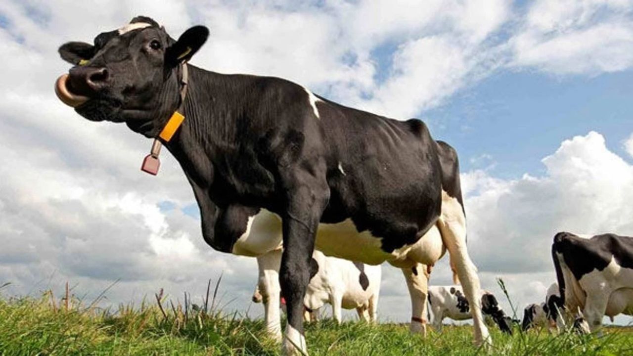 Adsız Tasarım 269-1