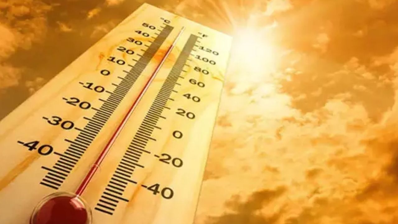 Adsız Tasarım 46-1