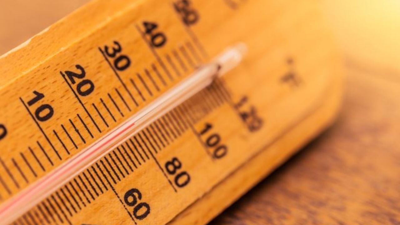 Adsız Tasarım 71-1