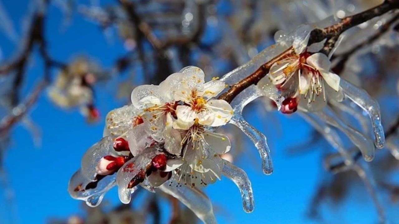 Adsız Tasarım 72-1