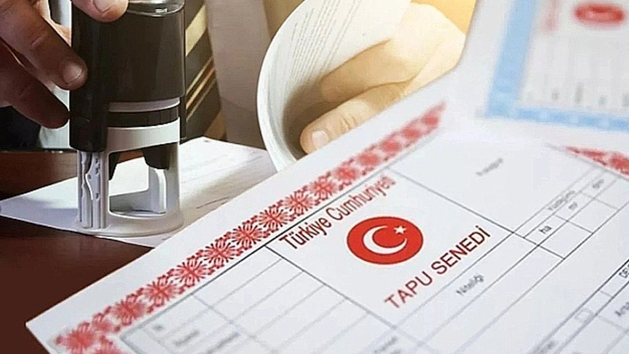 Adsız Tasarım 88-1