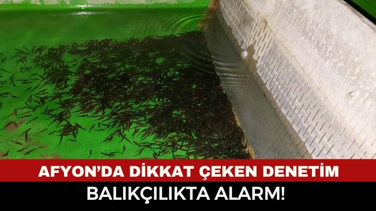Afyonkarahisar’da balıkçılık denetimleri neden artırıldı? Hangi tesisler kontrol edildi?
