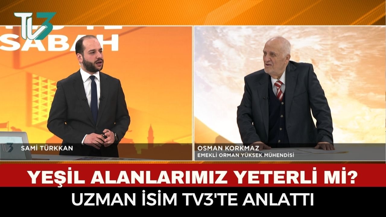 Afyon’da Orman Varlığı Artıyor Ama Yeterli mi?