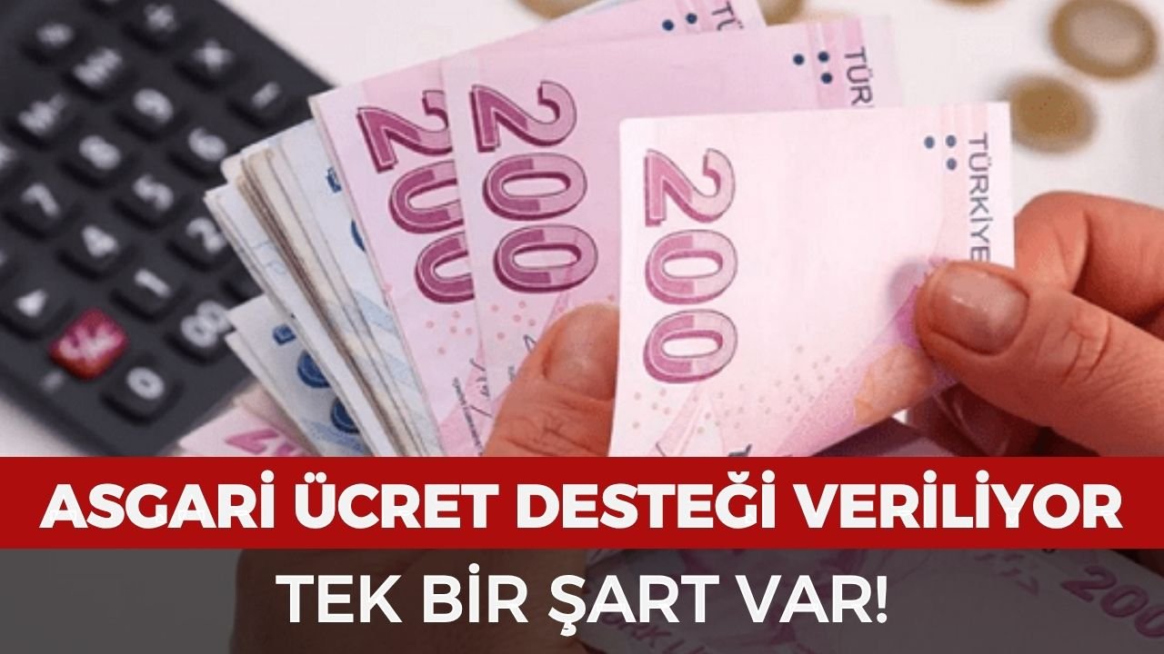 Asgari ücret desteği veriliyor: Tek bir şart var