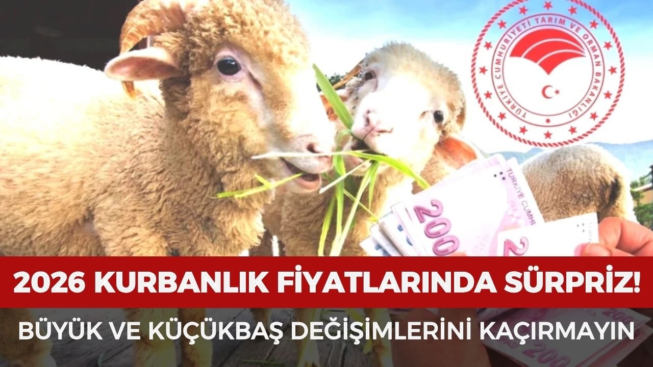 2026 kurbanlık fiyatlarında sürpriz! Büyükbaş ve küçükbaş değişimlerini kaçırmayın