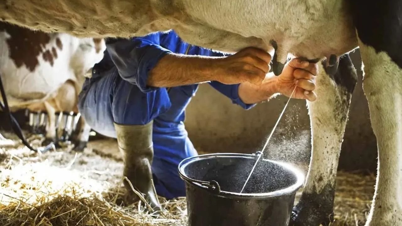 Adsız Tasarım 104-2