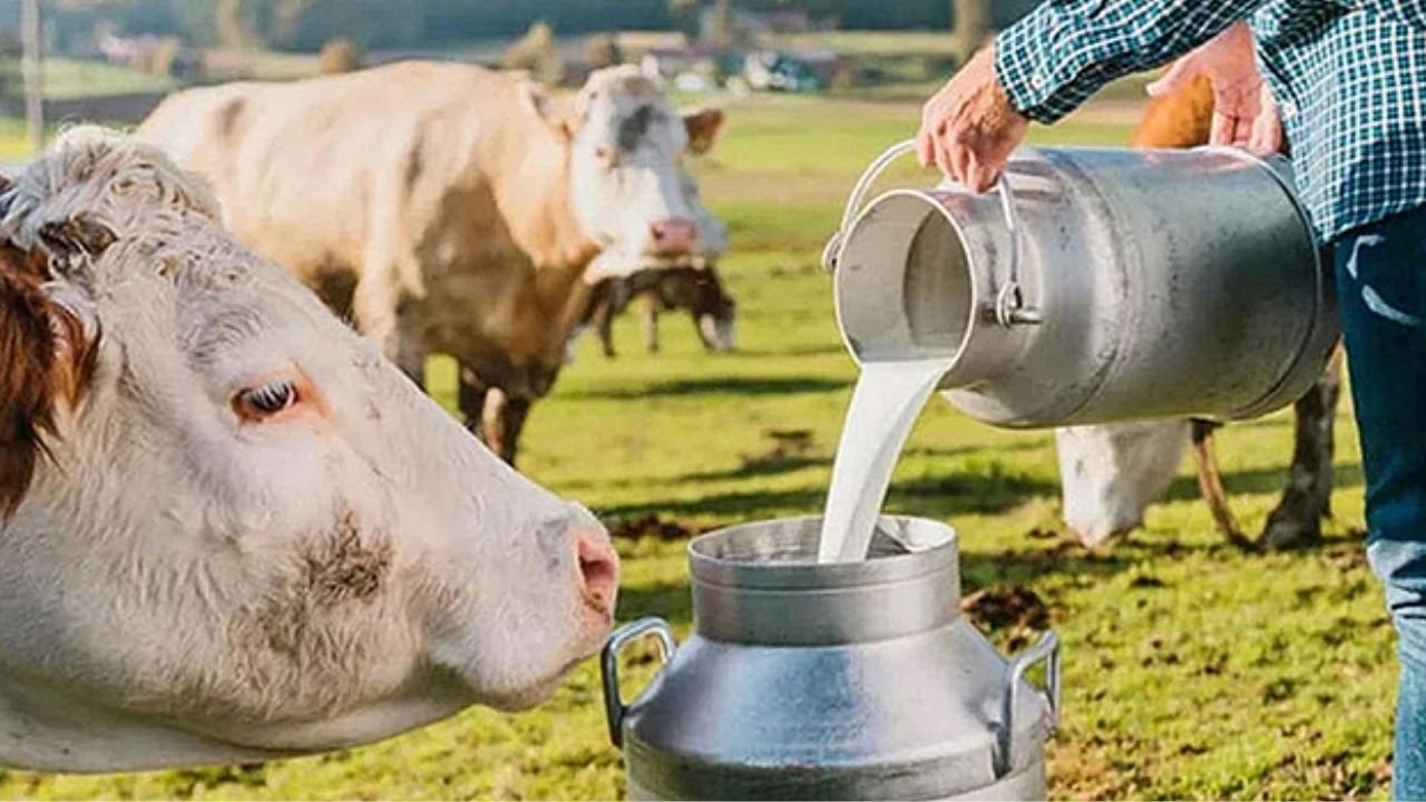 Adsız Tasarım 105-2