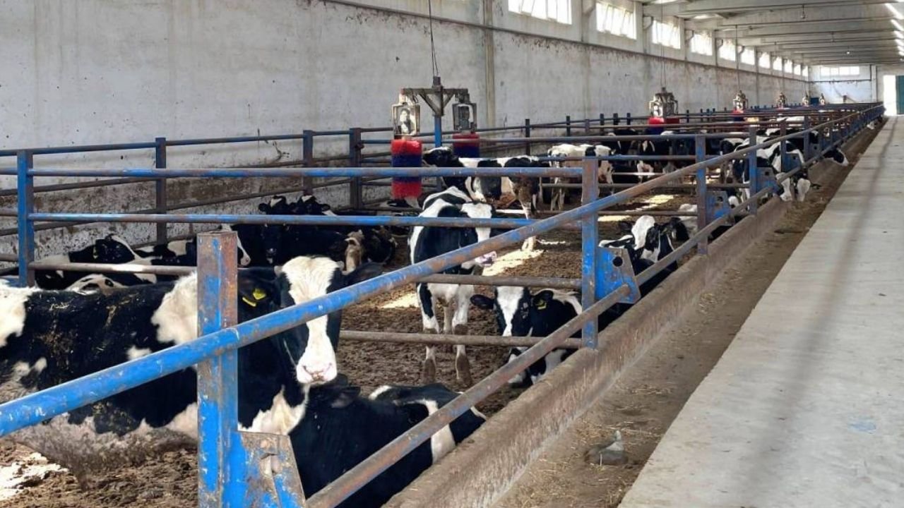 Adsız Tasarım 114-2