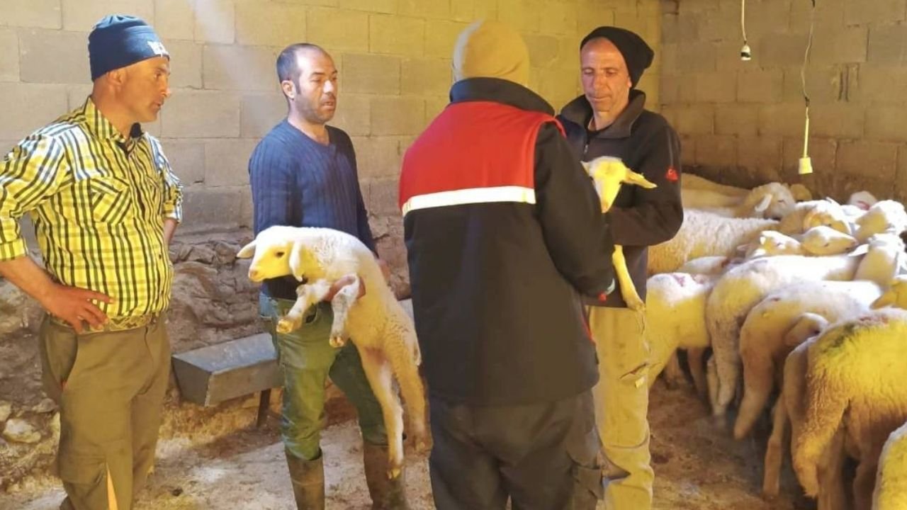 Adsız Tasarım 142-2