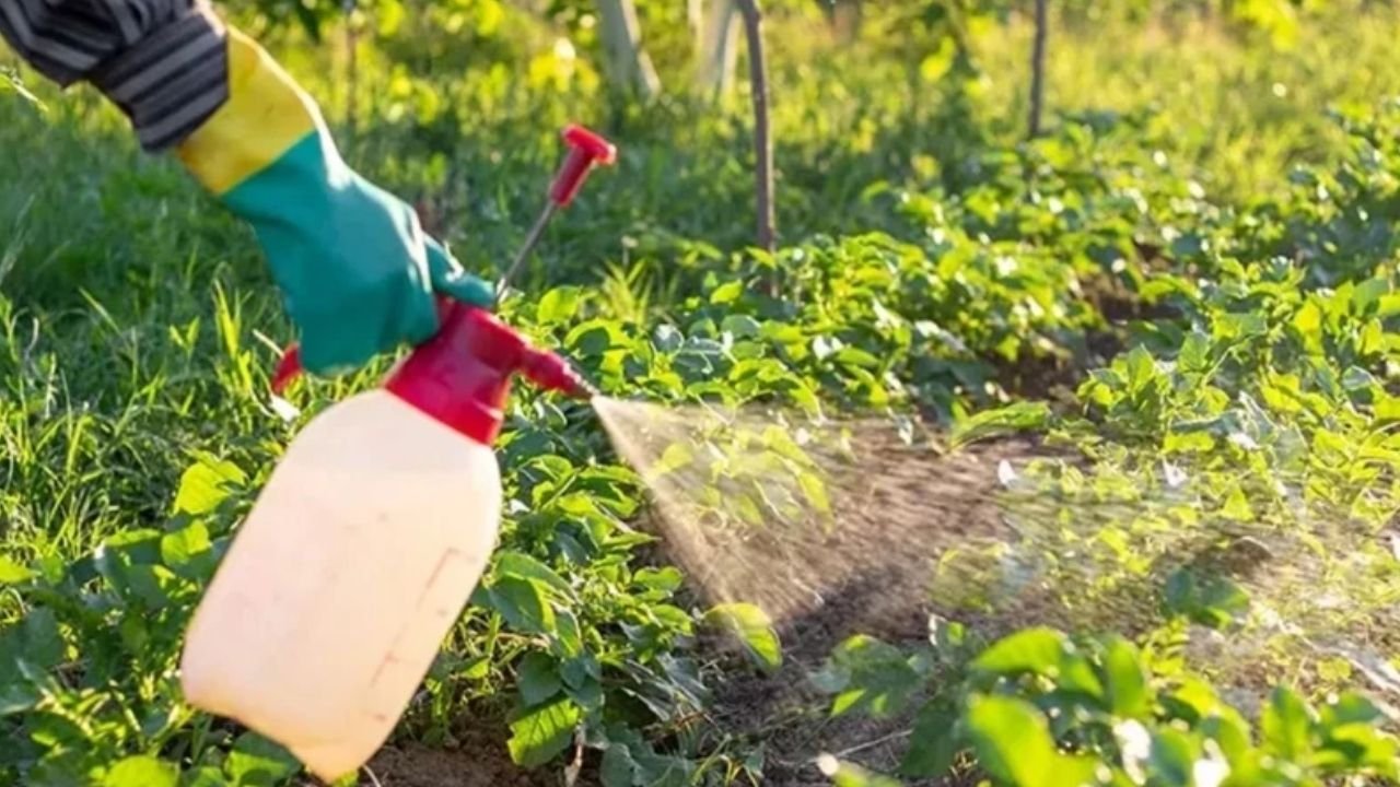 Adsız Tasarım 169-2