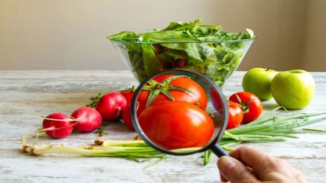 Adsız Tasarım 170-2