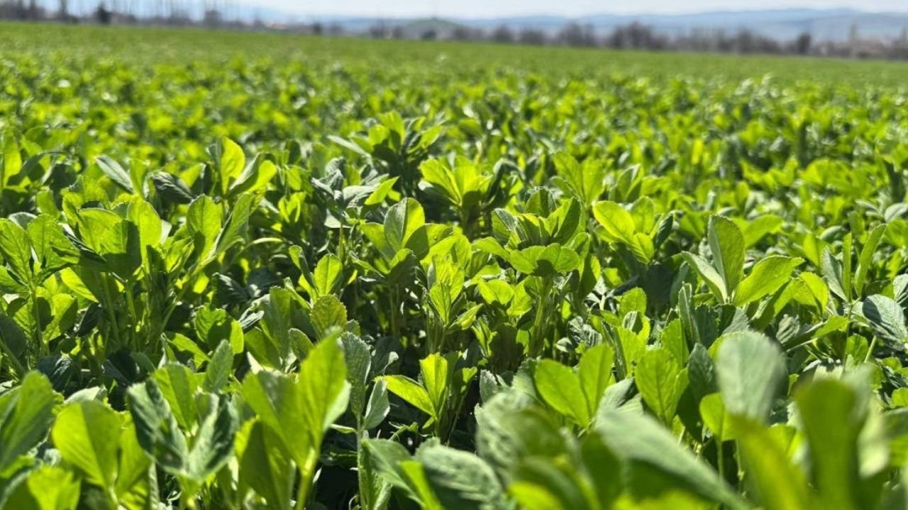 Adsız Tasarım 203-2