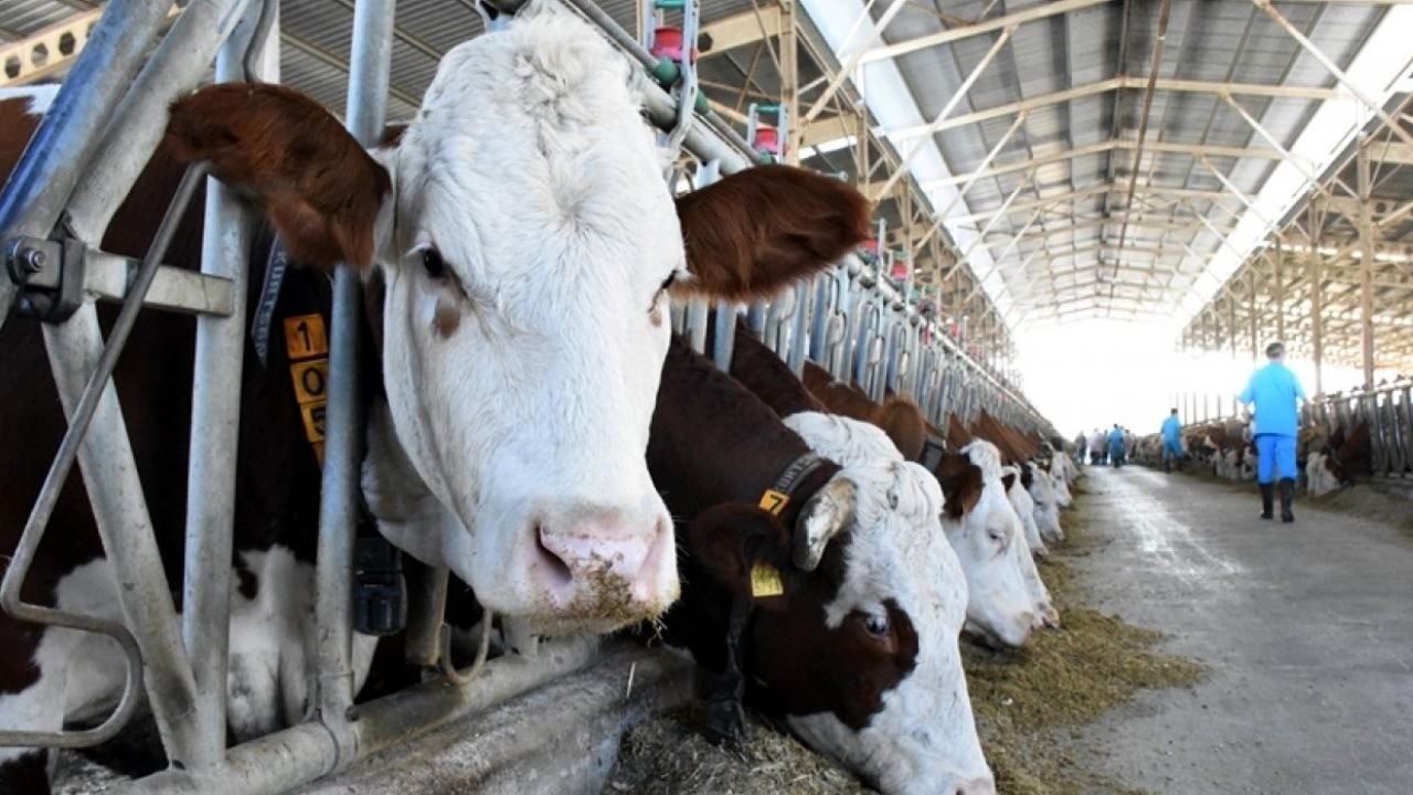 Adsız Tasarım 229-2