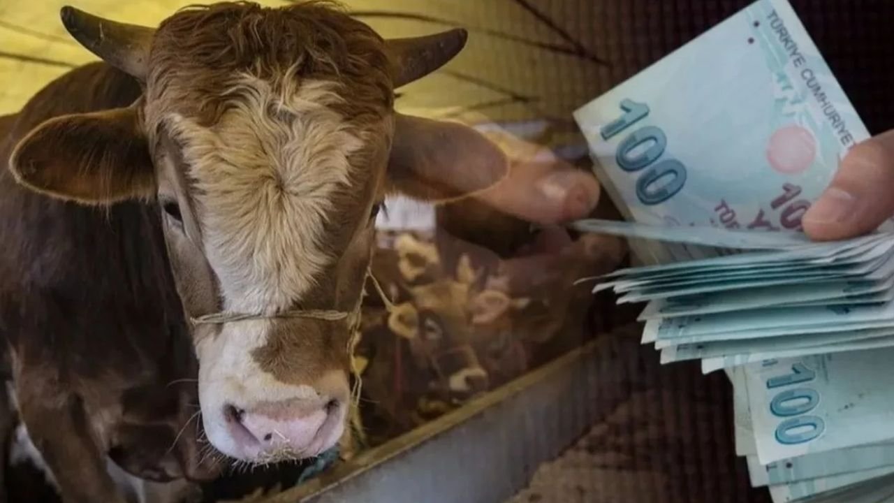 Adsız Tasarım 230-2