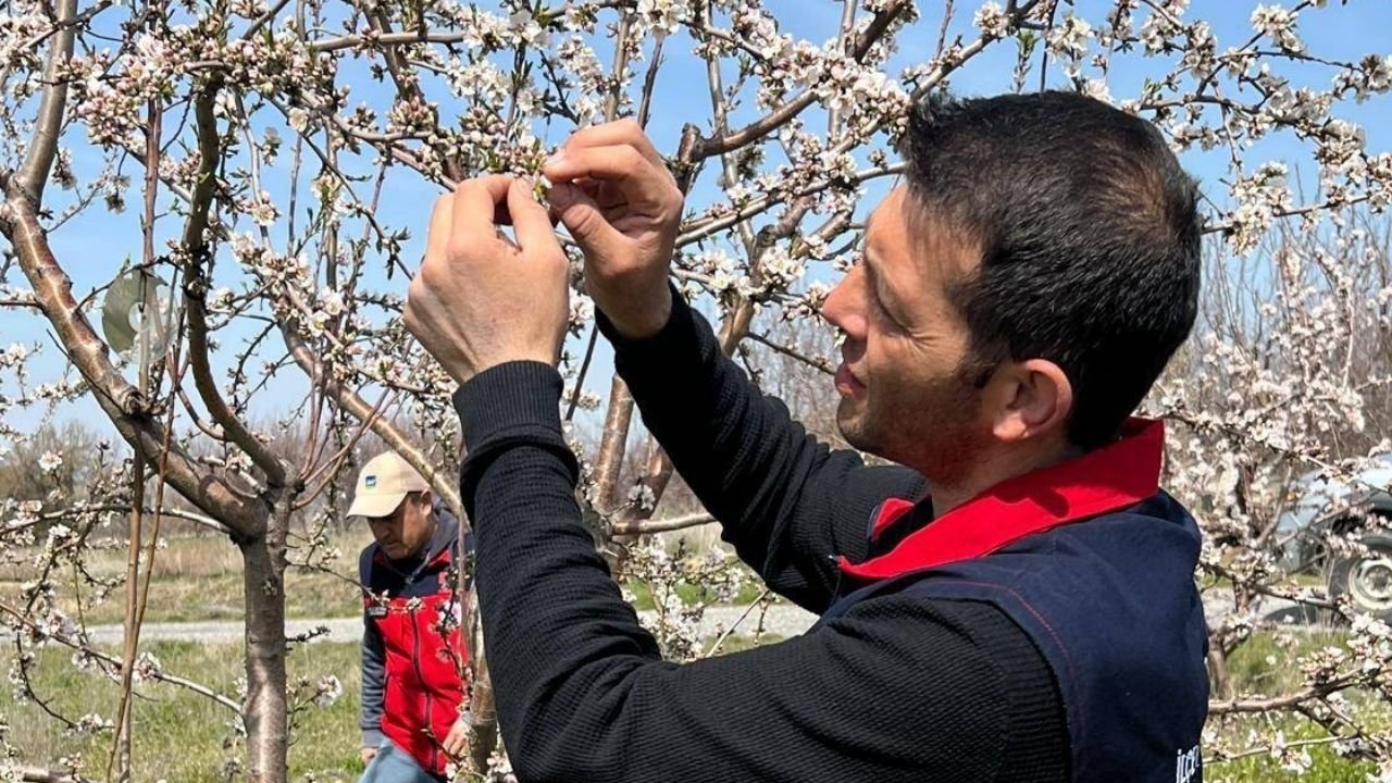 Adsız Tasarım 233-2
