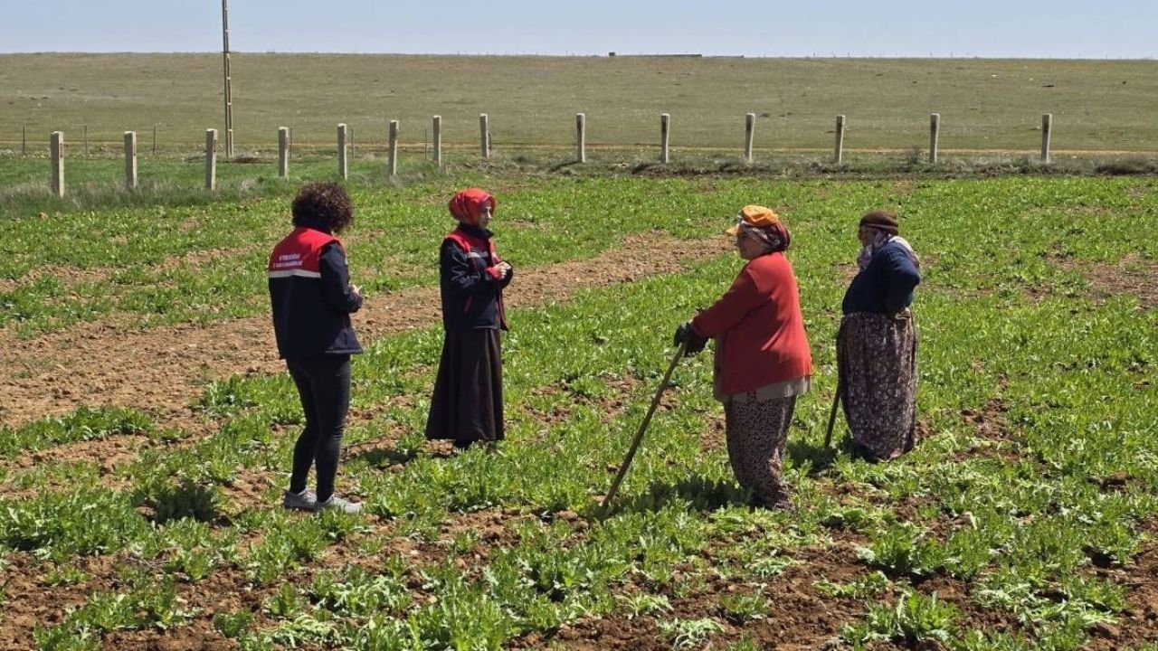 Adsız Tasarım 262-2