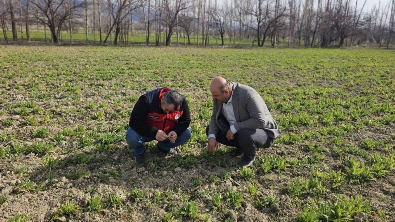 Adsız Tasarım 30-2