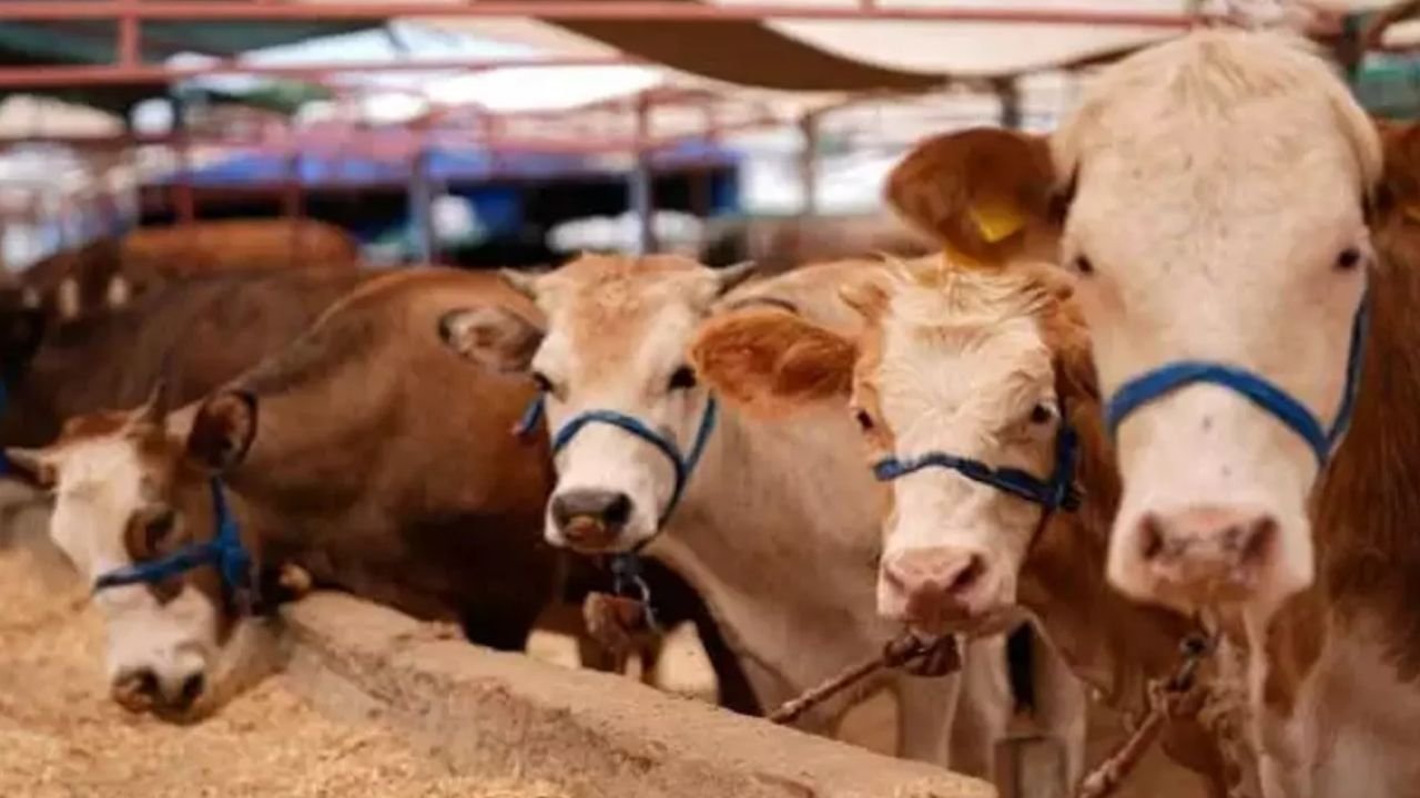 Adsız Tasarım 301-2