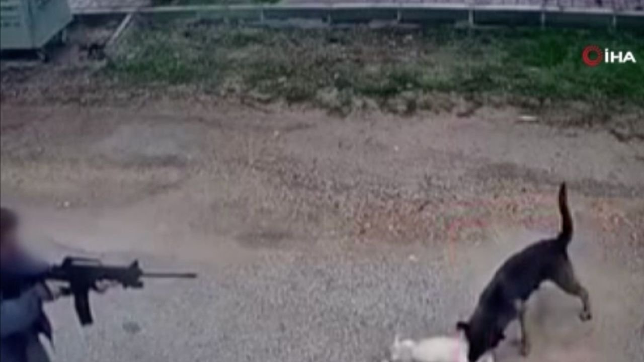 Adsız Tasarım 314-1