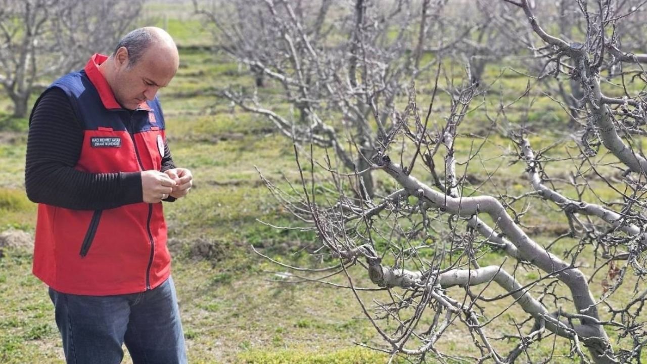 Adsız Tasarım 58-2