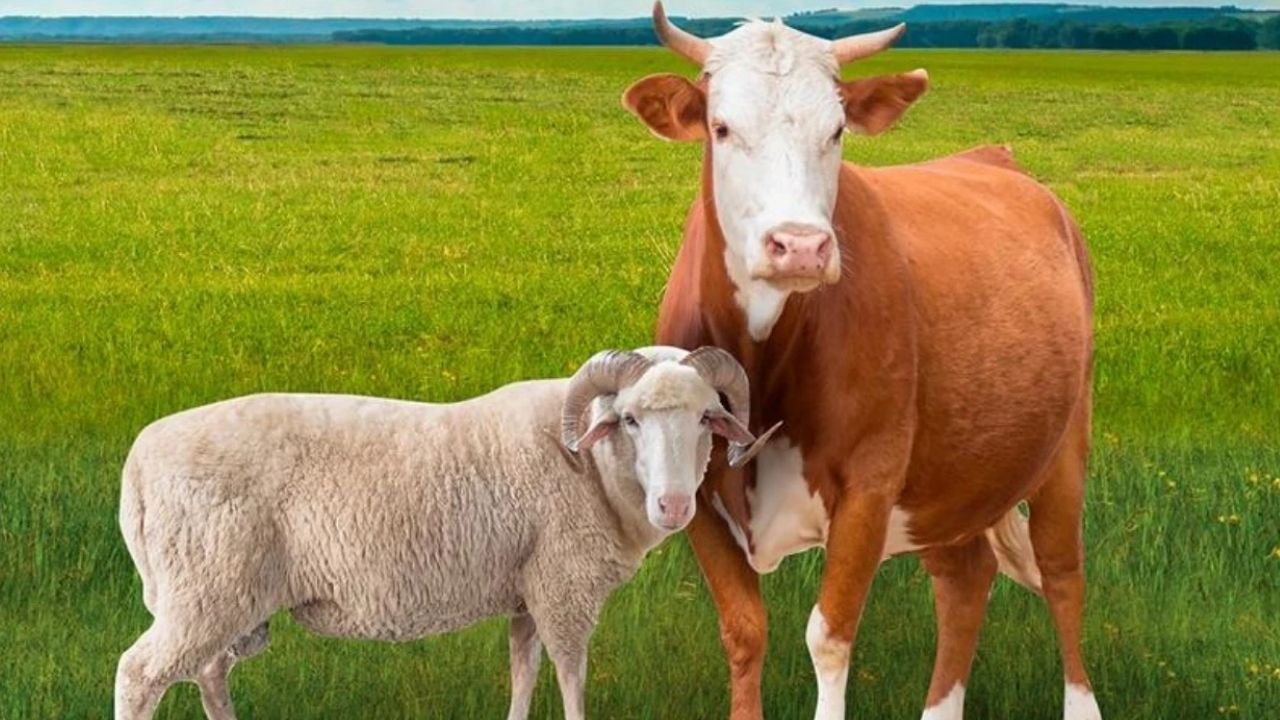 Adsız Tasarım 66-2