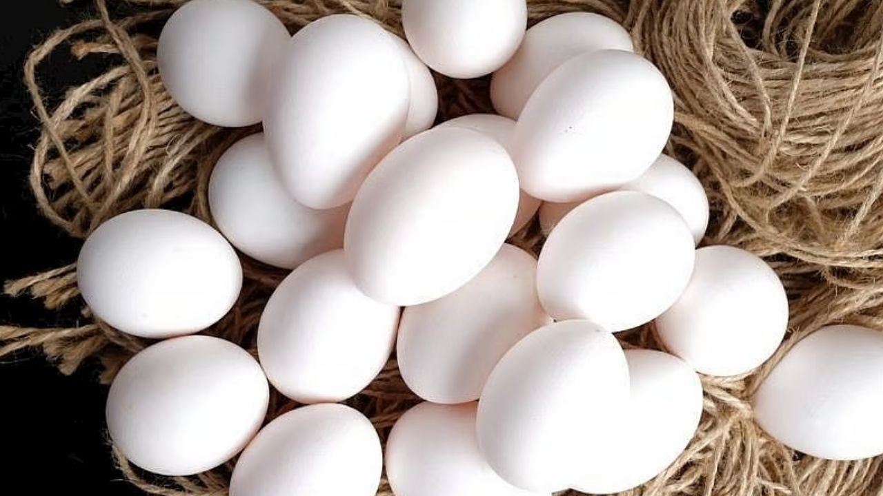 Adsız Tasarım 77-2