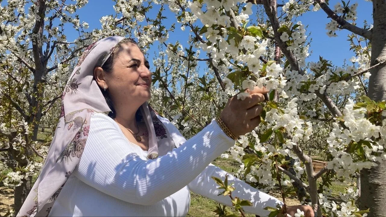 Afyon Haber 2026 04 28T134939099