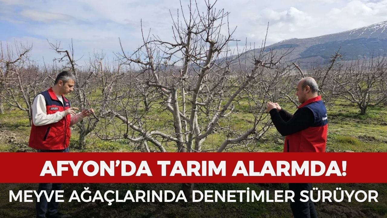 Afyon’da tarım alarmda! Meyve ağaçlarında denetimler devam ediyor
