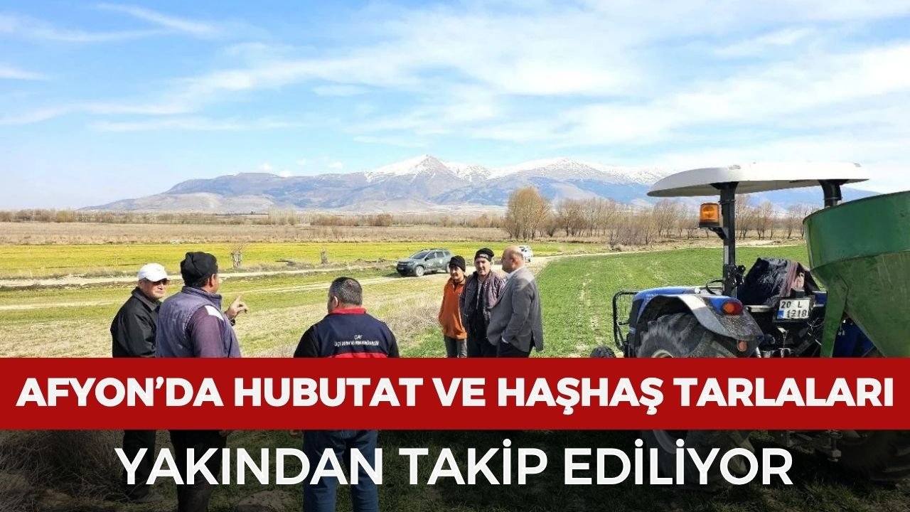 Afyonkarahisar’da hububat ve haşhaş tarlaları yakından takip ediliyor
