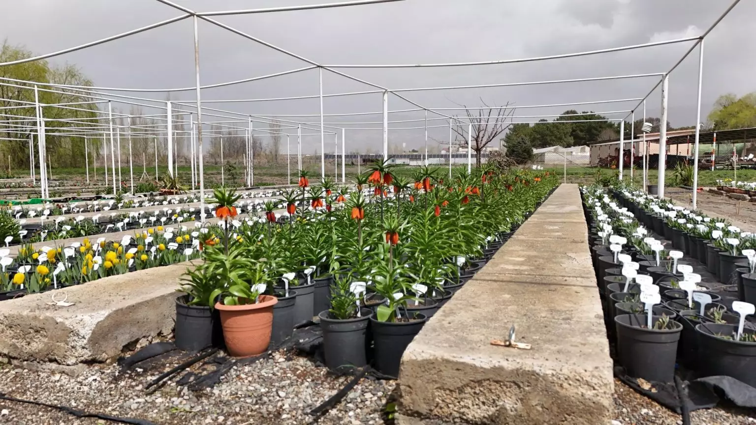 Aw682269 02 1536X864 (1)