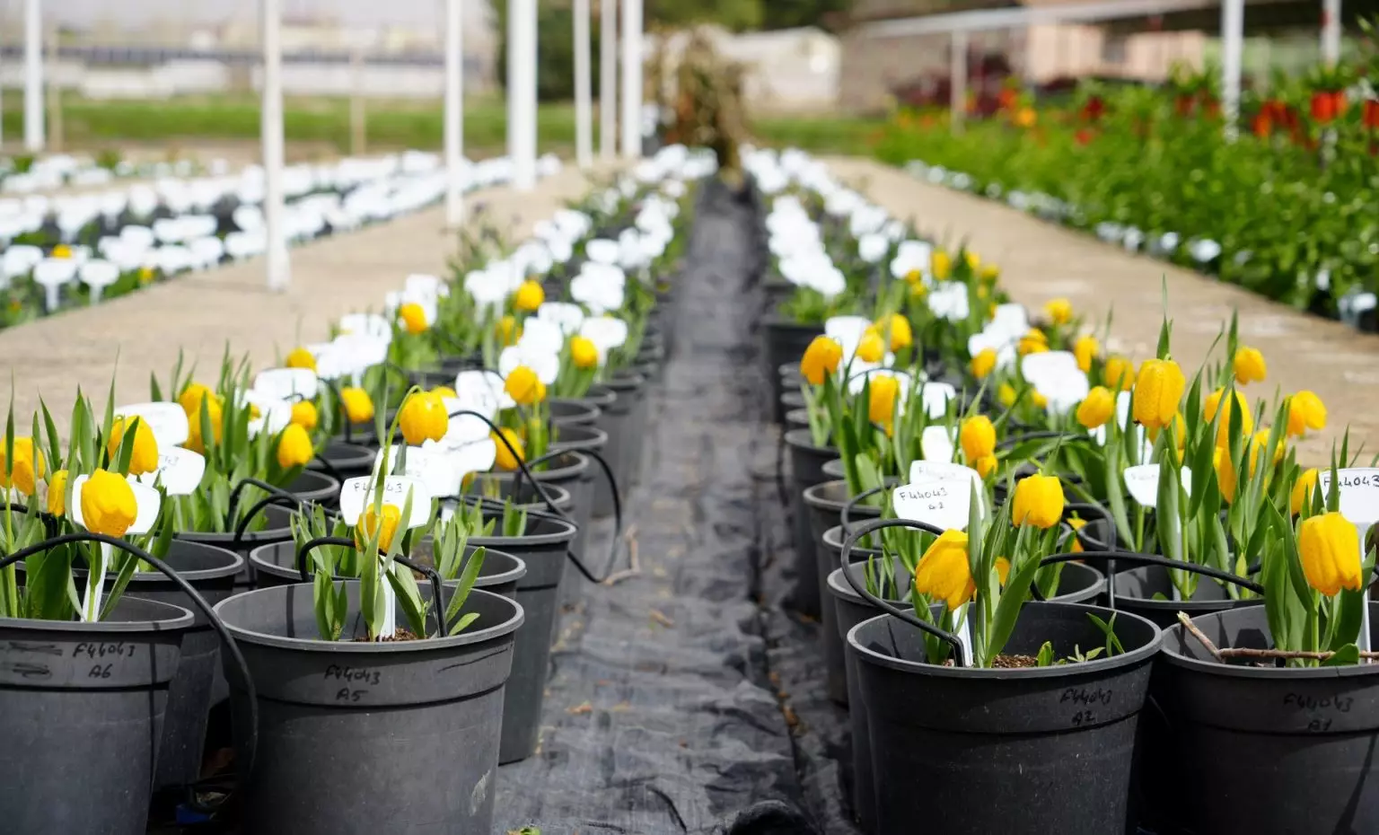 Aw682269 03 1536X930 (1)