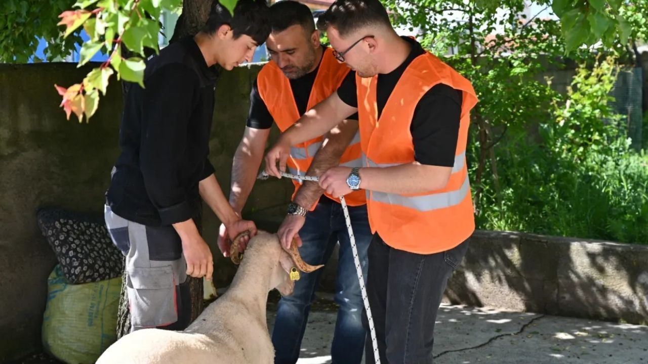 Adsız Tasarım 1304
