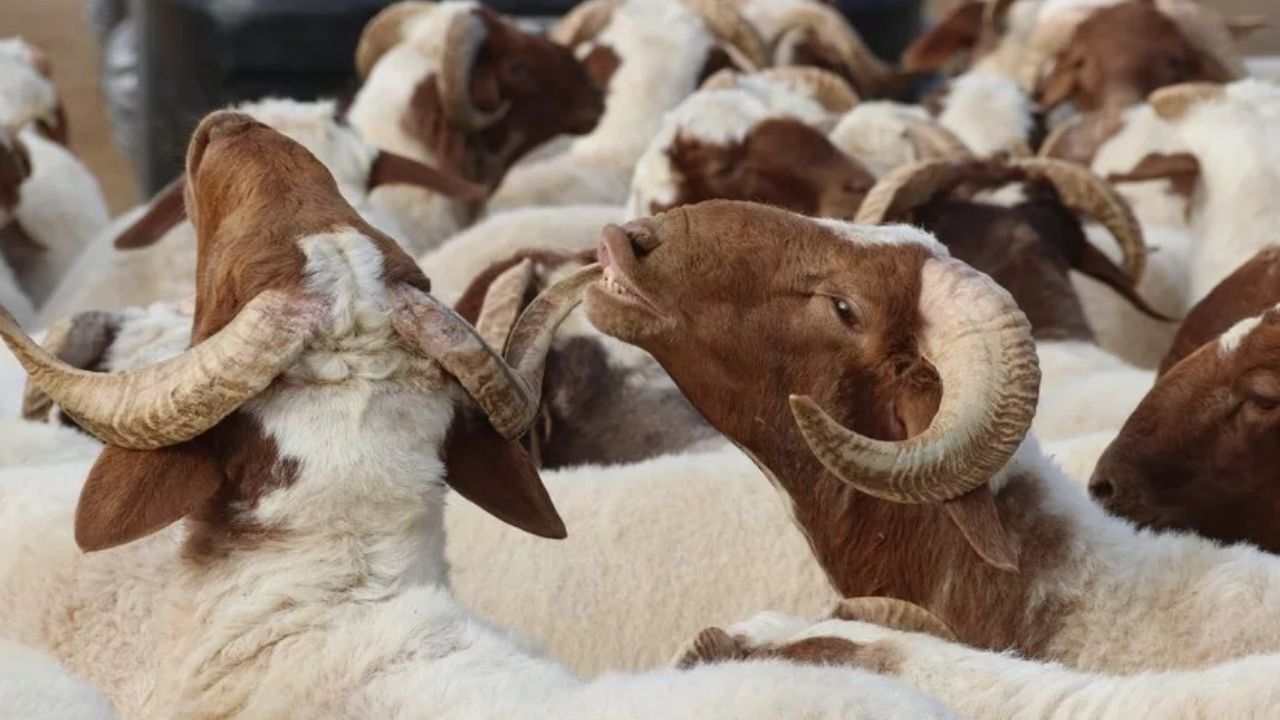 Adsız Tasarım 949